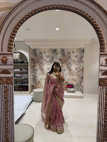 Banarasi Tissue saree - view 7